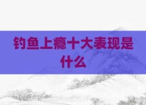 钓鱼上瘾十大表现是什么