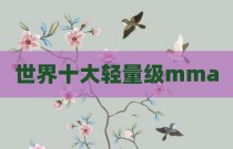世界十大轻量级mma