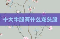 十大牛股有什么龙头股