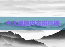 十大品牌内衣排行榜
