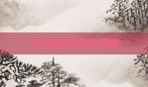 十大雅致是什么品牌