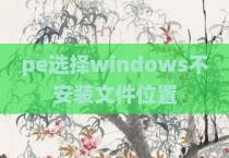 pe选择windows不安装文件位置