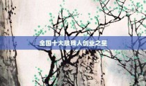 全国十大肢残人创业之星