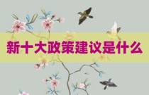 新十大政策建议是什么