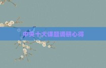 中央十大课题调研心得