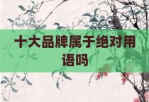 十大品牌属于绝对用语吗