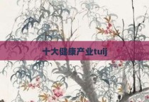十大健康产业tuij