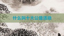 什么叫十大公益活动
