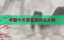 中国十大首富是什么人物
