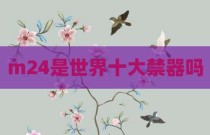 m24是世界十大禁器吗
