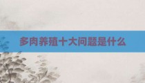 多肉养殖十大问题是什么