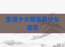 生活十大惊喜是什么意思