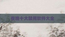夜晚十大禁用软件大全