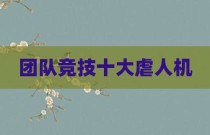 团队竞技十大虐人机