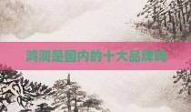 鸿润是国内的十大品牌吗