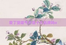 爱丁堡暖气片是十大品牌吗o