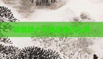 张靓颖十大惊喜是什么歌
