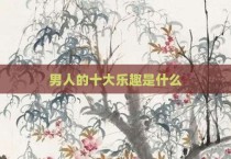 男人的十大乐趣是什么