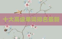 十大高级单词排名最新