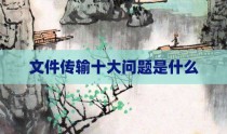 文件传输十大问题是什么