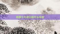德国十大进口是什么车型