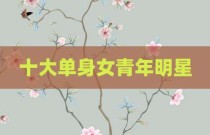 十大单身女青年明星