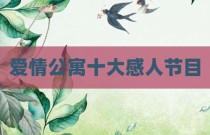 爱情公寓十大感人节目