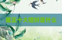 雍正十大嗜好是什么