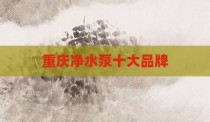 重庆净水泵十大品牌