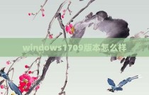 windows1709版本怎么样