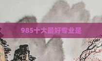 985十大最好专业是