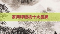 家用呼吸机十大品牌
