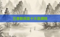 兰舍新风是十大品牌吗