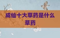 成仙十大草药是什么草药