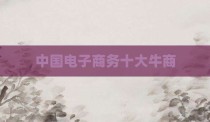 中国电子商务十大牛商