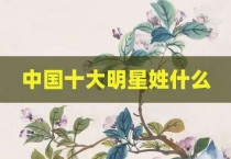 中国十大明星姓什么