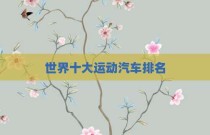 世界十大运动汽车排名