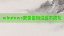 windows安装密码设置不成功