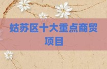 姑苏区十大重点商贸项目