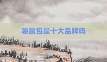 袋鼠包是十大品牌吗