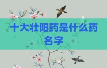 十大壮阳药是什么药名字