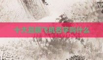 十大丑萌飞机名字叫什么