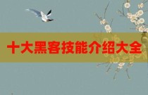 十大黑客技能介绍大全