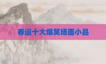 春运十大爆笑场面小品