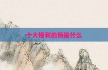 十大锋利的箭是什么