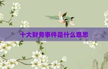 十大财务事件是什么意思