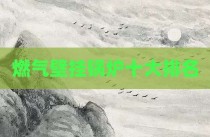 燃气壁挂锅炉十大排名