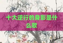 十大逆行的身影是什么歌