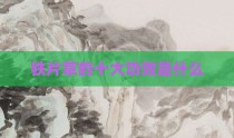 铁片草的十大功效是什么