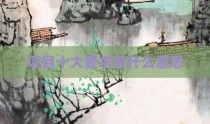 项目十大要求是什么意思